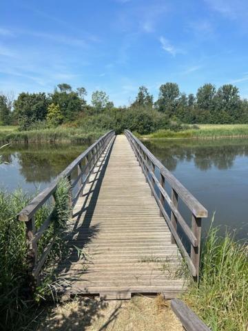 Oosterschelde Met Veel Privacy En Dicht Bij Het Water * Scherpenisse